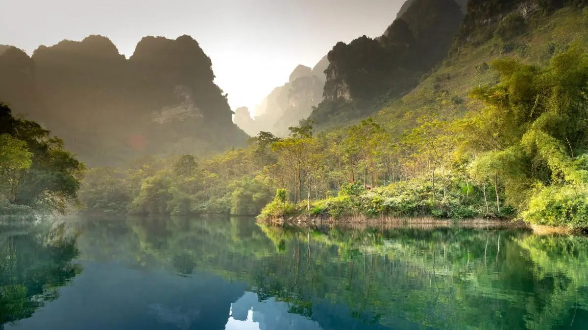 高端高效智能